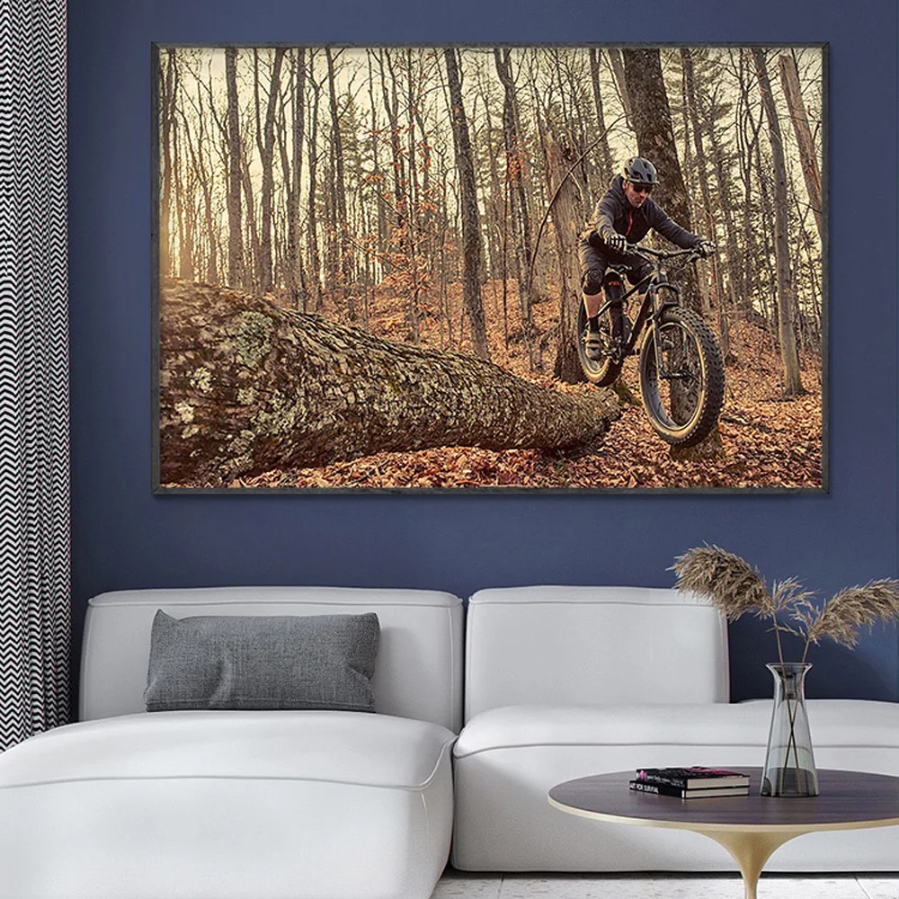SP082 ผ้าไหมผ้าโปสเตอร์ผนังจัก - Mountain Biking Movies บทวิจารณ์และราคา