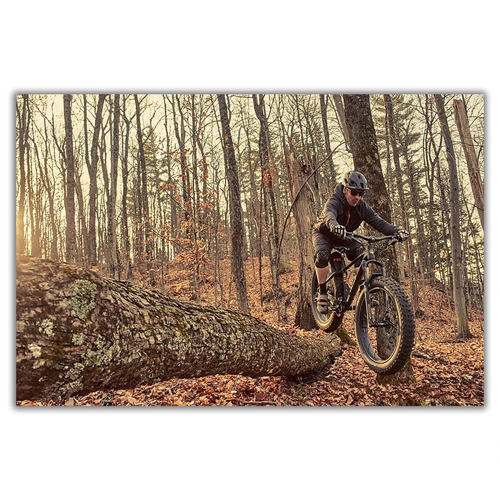 SP082 ผ้าไหมผ้าโปสเตอร์ผนังจัก - Mountain Biking Movies บทวิจารณ์และราคา