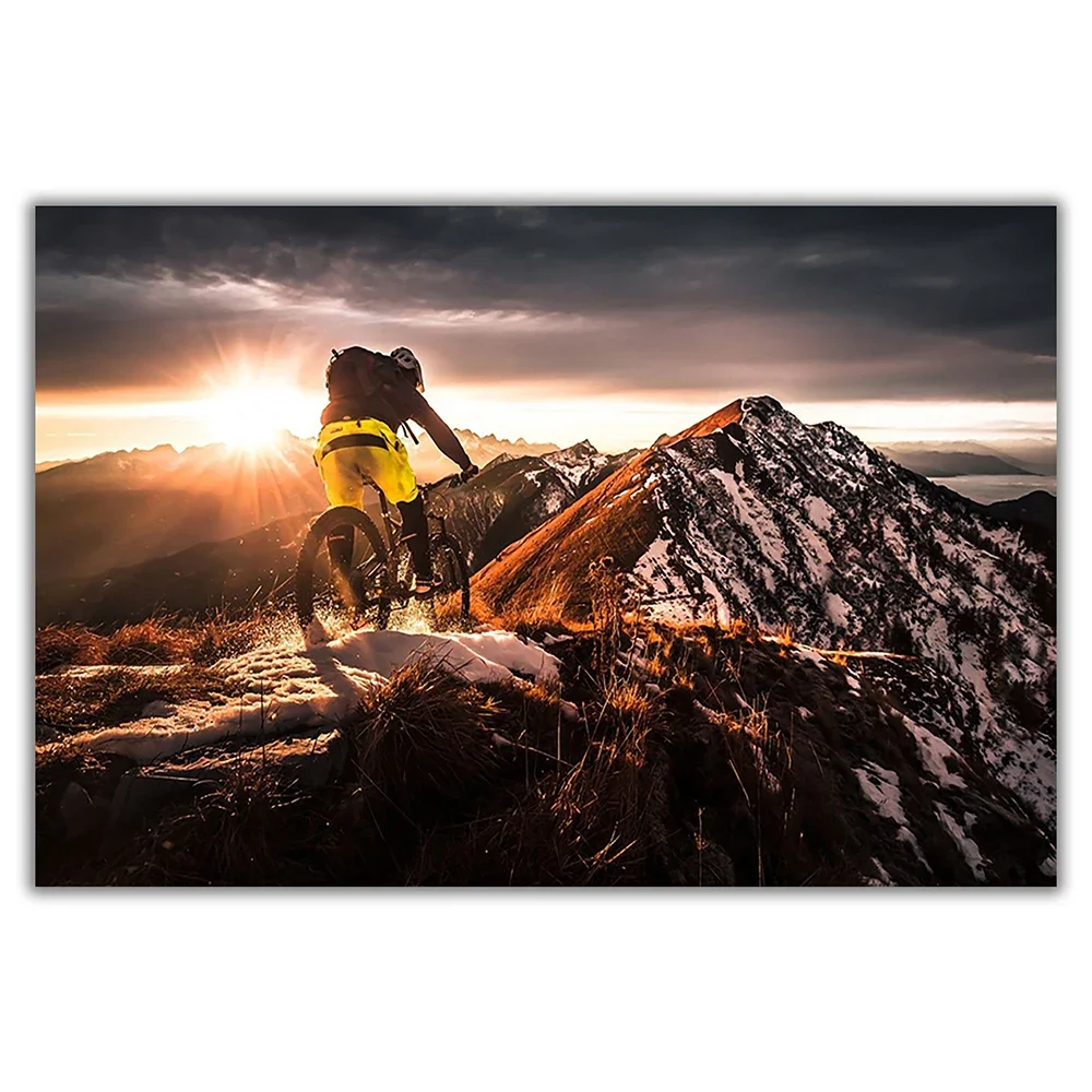 SP080 ผ้าไหมผ้าโปสเตอร์ผนังจัก - Mountain Biking Movies บทวิจารณ์และราคา
